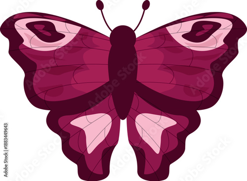 Beautiful red butterfly showing its wonderful wings