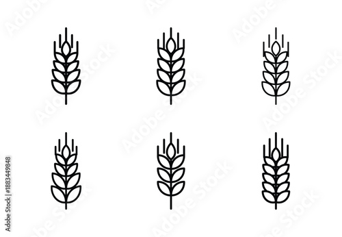 Set of food related wheat grain  outline vector icons. food linear icons collection, Editable stroke
