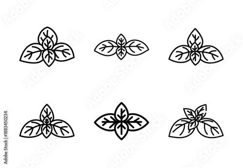 Set of food related basil leaf  outline vector icons. food linear icons collection, Editable stroke