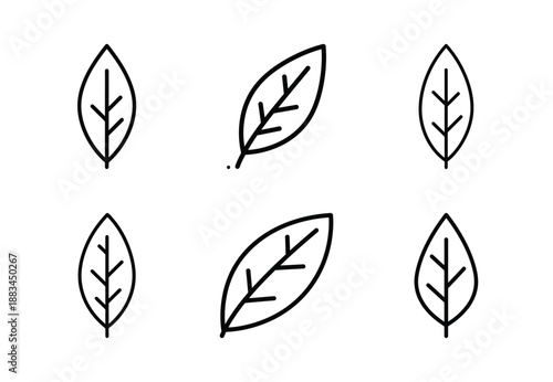 Set of food related bay leaf  outline vector icons. food linear icons collection, Editable stroke