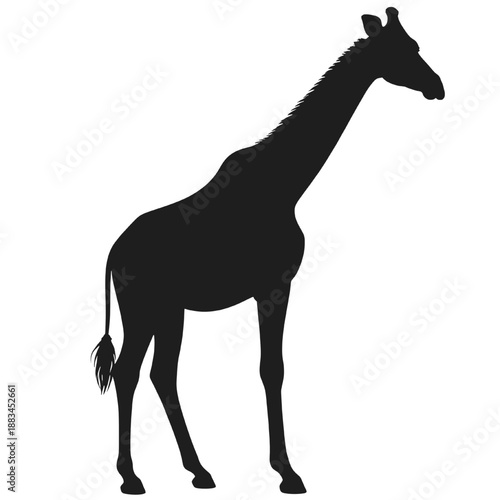 African Giraffe Silhouette Icon.