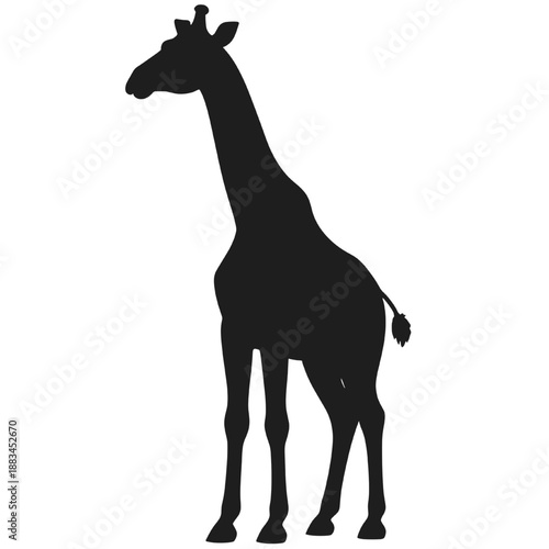Black giraffe silhouette standing isolated on white background representing african wildlife safari animal and minimal flat illustration style.
