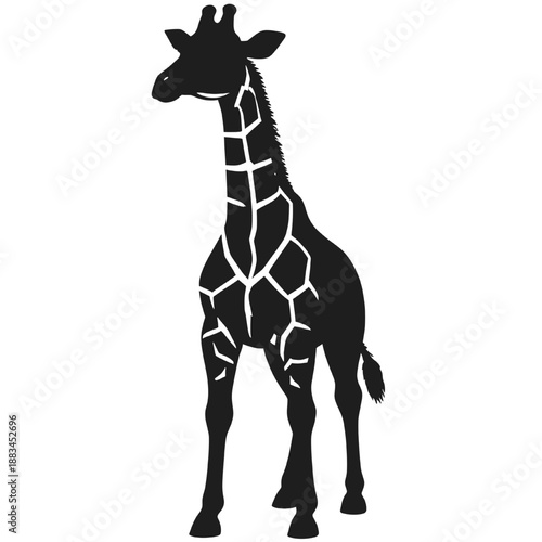 Black giraffe silhouette with stylized pattern details isolated on white background representing african wildlife modern illustration and decorative animal design