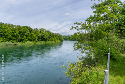 Wide river flowing through lush green forest