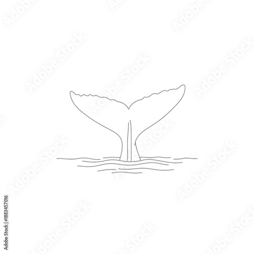 Minimalist whale tail fluke drawing above water in continuous line art