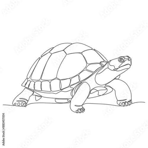 One line art illustration of a tortoise walking on white background