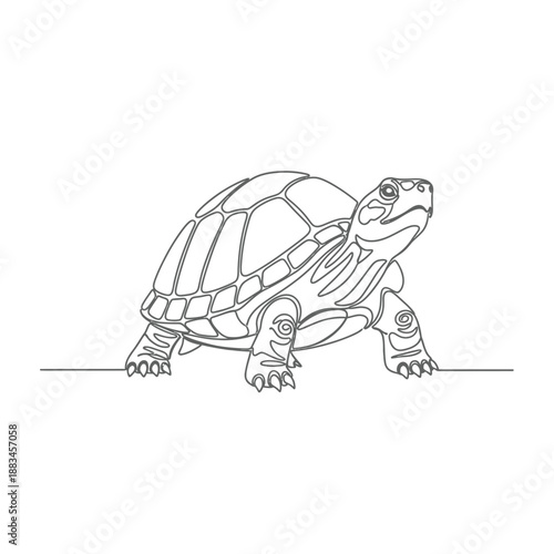Detailed continuous line drawing of a walking turtle animal art
