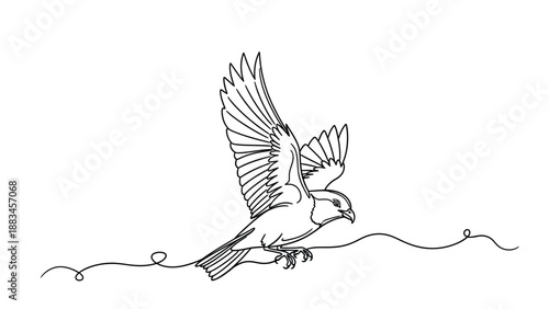 Continuous line drawing of a bird in flight minimalist avian art