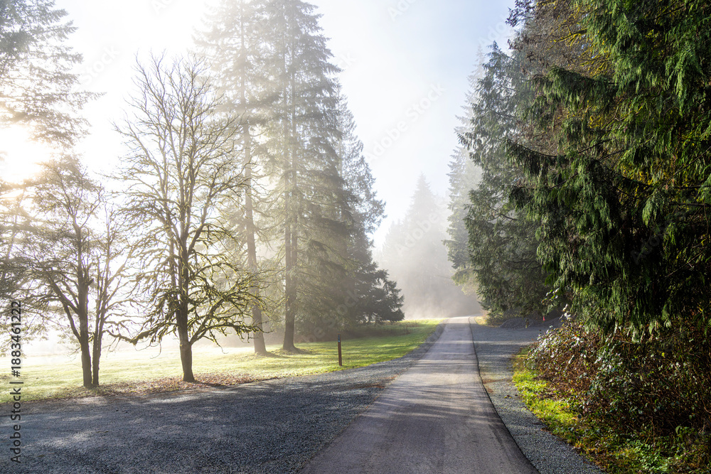 Fototapeta premium Exploring the serene marshlands and wildlife in Widgeon Marsh regional Park in coquitlam BC