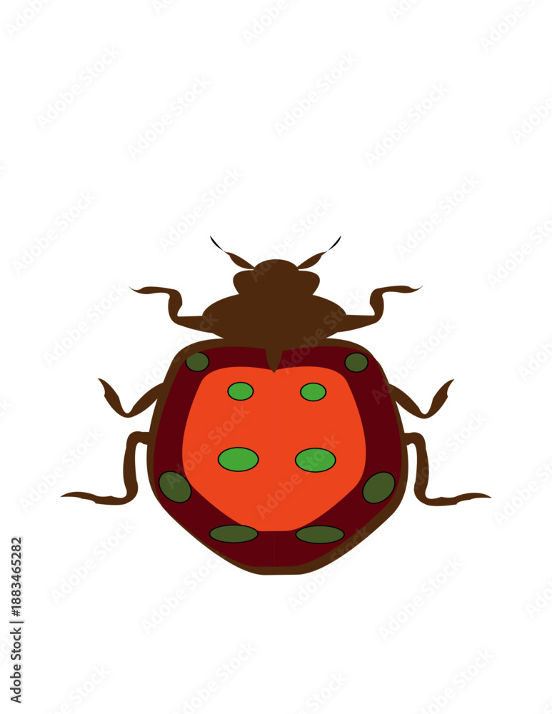 Obraz premium lady birds