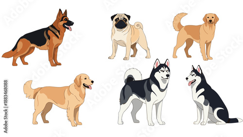 Collection of various dog breeds including german shepherd pug golden retriever and siberian husky in different poses.