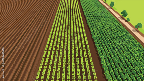 Aerial view of farmland with different crop fields showing green plants and brown plowed soil in straight lines.