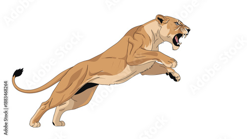 Powerful lioness in mid air pouncing on her prey with mouth open and claws extended against a white background.