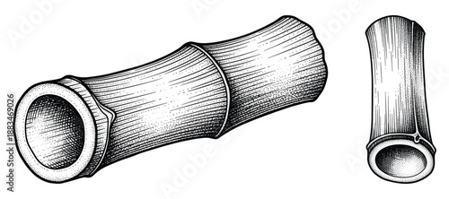 Bamboo tube vector illustration set in hand drawn engraving style for kitchenware designs