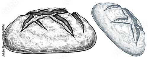 Two artisan bread loaves vector illustration in a detailed black and white etching style
