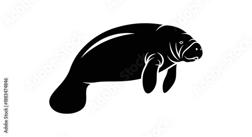 Manatee Silhouette Vector Illustration on White Background.