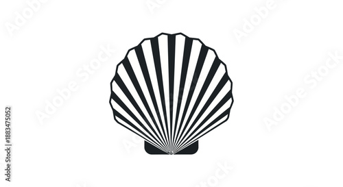 Stylized black and white seashell illustration with radial lines.