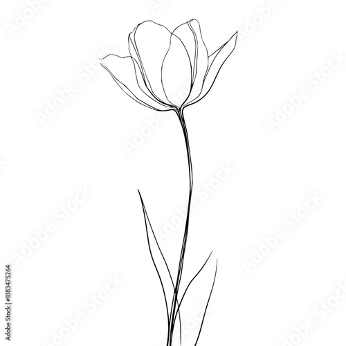 Minimalist solid black background with uniform color, offering ample copy space for graphic design elements or text, creating a sleek digital backdrop with a dramatic mood.