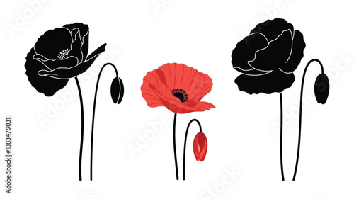 three poppy flower silhouettes two in black and one in vibrant red color
