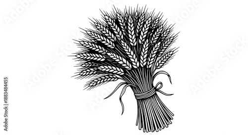 A detailed black and white vector of a wheat sheaf tied with a cord, viewed from the side.