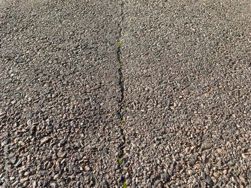A crack in the asphalt, through which small green plants are beginning to sprout. The road surface has a coarse-grained texture interspersed with small gravel of various shades