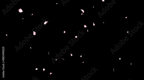 Aesthetic animation of soft pink cherry blossom petals flying and falling in the air on transparent background