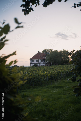 Atmospheric evening in the summer golden hour
