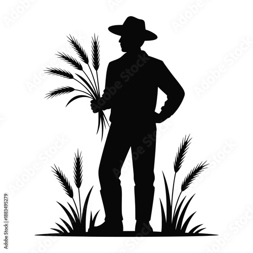 Farmer silhouette holding harvested wheat stalks standing in.