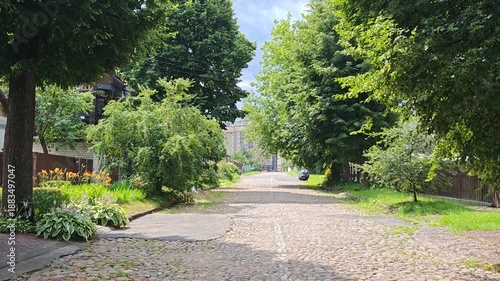 The city street is paved with cobblestones, and flowers and grass grow on the roadsides. There are trees along the road, fences and houses. Sunny summer weather and shade from trees