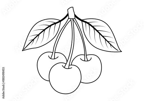 Icono de tres cerezas frescas con hojas y tallos en estilo lineal
