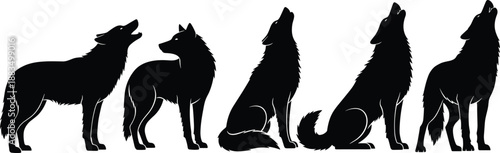 Five black silhouette wolves howling and standing silhouettes white background