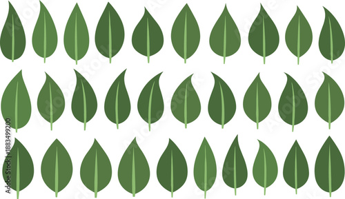 Green leaves on white background leaf pattern