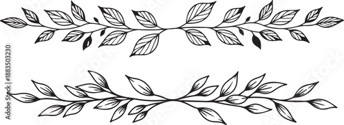 Elegant hand-drawn leaf border design Vector