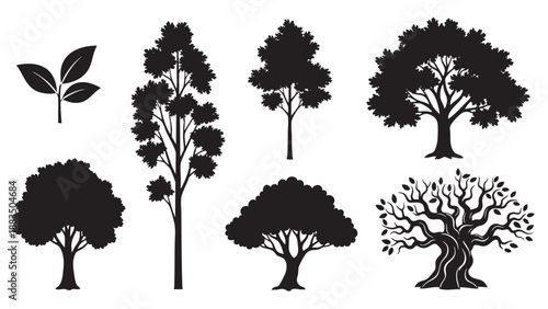 Collection of Various Tree Silhouettes and Leaf Illustration for Nature Designs