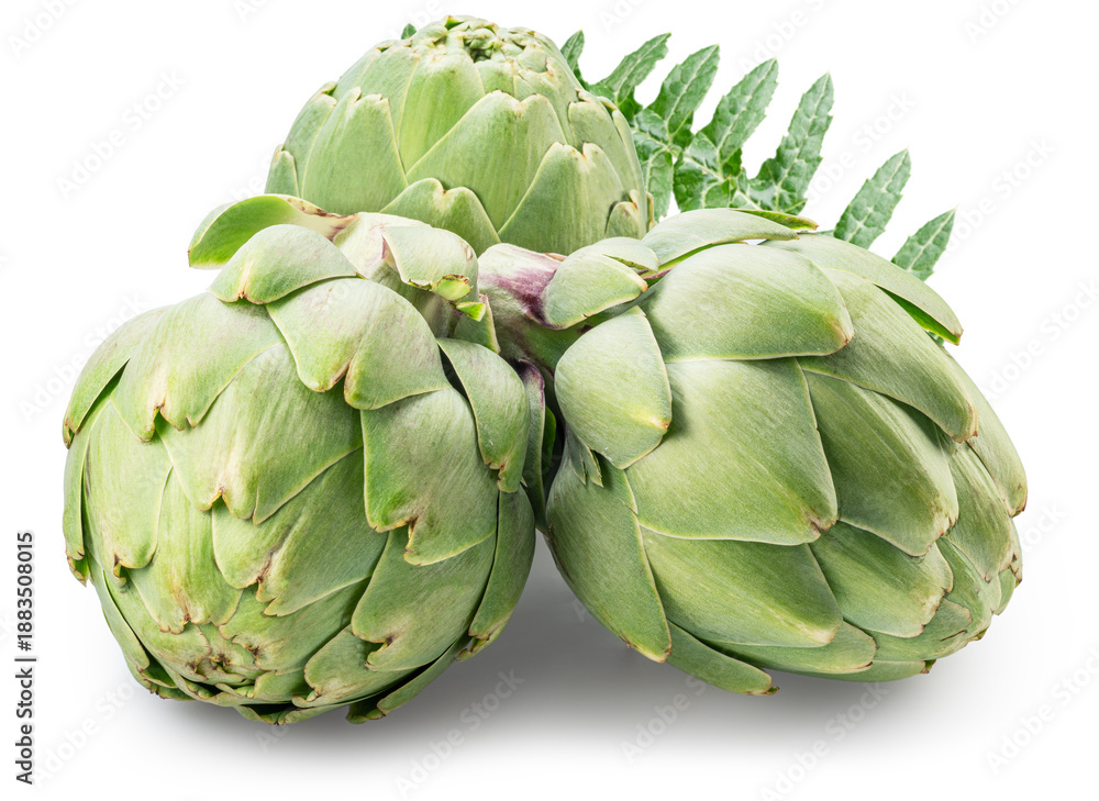 Obraz premium French artichokes with green leaf isolated on white background. File contains clipping paths.