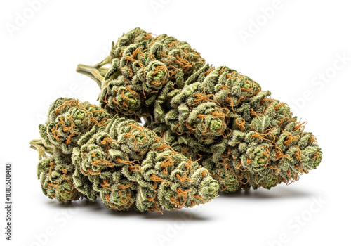 Fresh Green Sativa Cannabis Bud Isolated on White Background