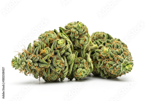 Fresh Green Sativa Cannabis Bud Isolated on White Background