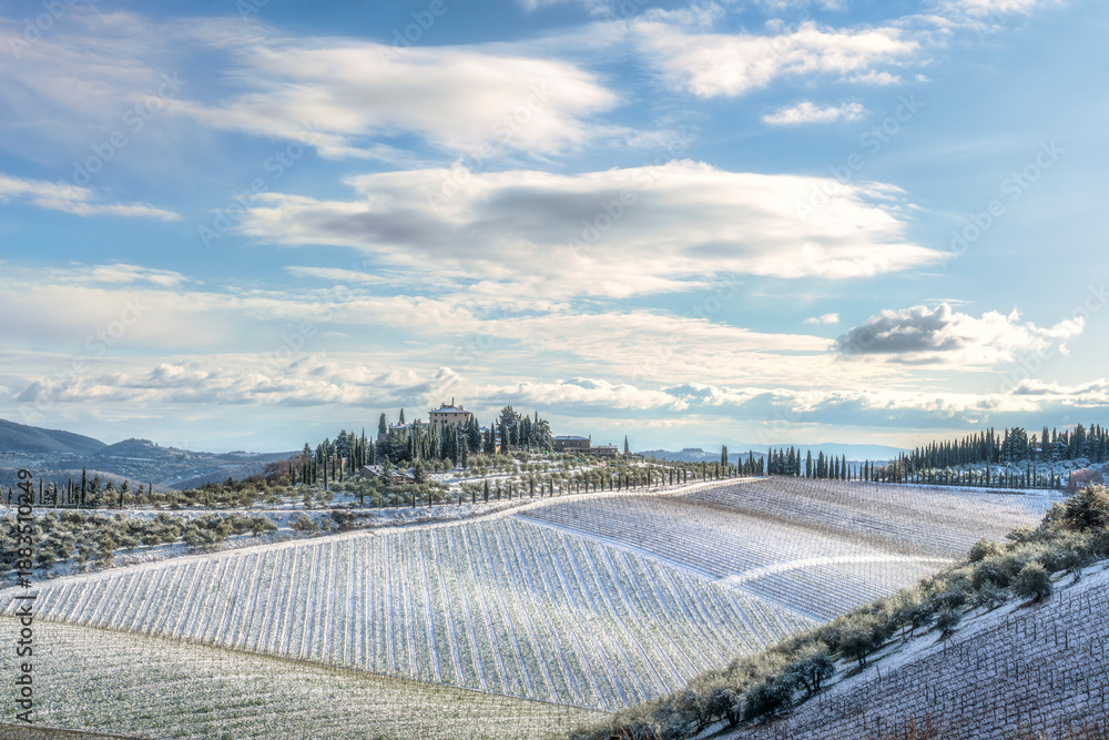 Fototapeta premium Snowy Vineyard in Chianti Hills, Radda in Chianti, Tuscany