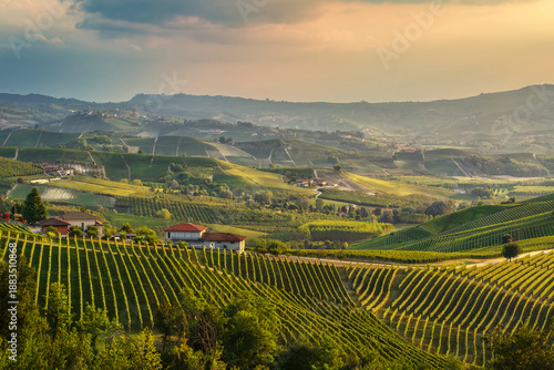 Sunset over Langhe Vineyards near Grinzane Cavour, Italy
