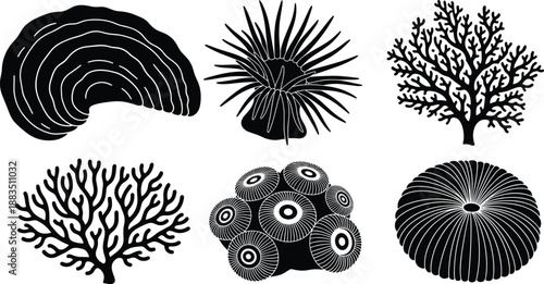 Black silhouette marine life illustration set featuring coral reef, sea anemone, sponge and ocean invertebrates isolated on white background