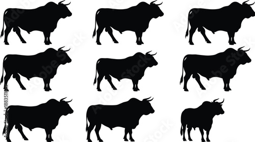 Bull silhouette set in black vector style, farm animal collection isolated on white background for design use