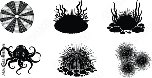 Marine life silhouette illustration set with sea urchin, octopus, underwater plants and ocean elements isolated on white