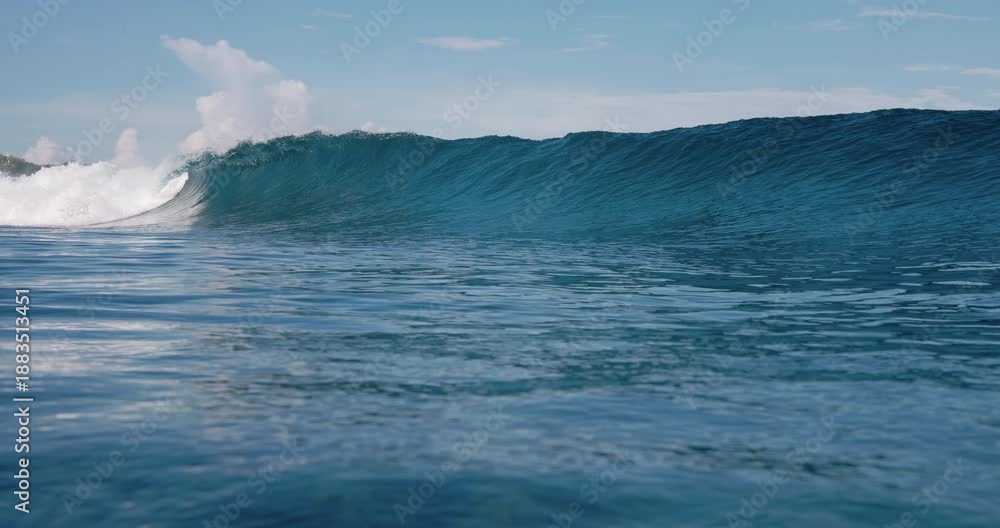 custom made wallpaper toronto digitalPerfect blue wave crashing on surf spot, surfing waves
