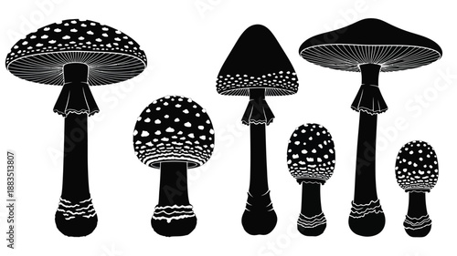 a monochrome illustration depicting several stylized mushrooms in various sizes and shapes