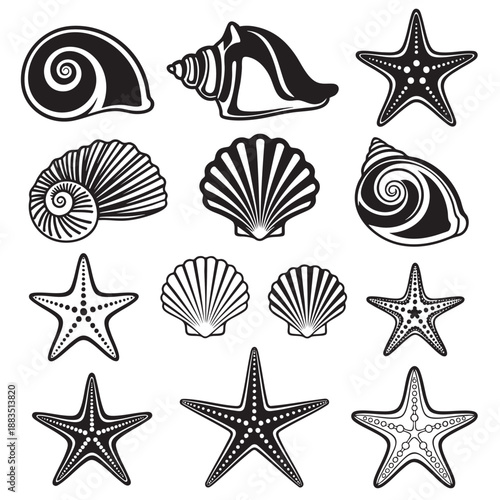 Collection of sea creature and shell vector illustrations isolated