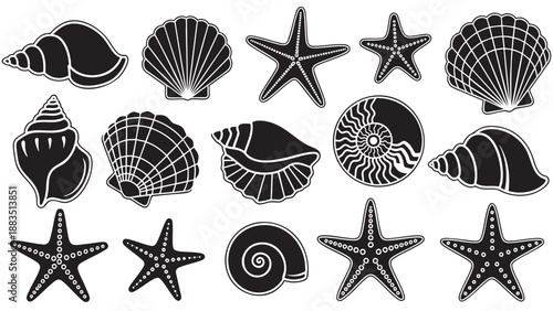 Collection of sea shell and starfish vector illustrations isolated