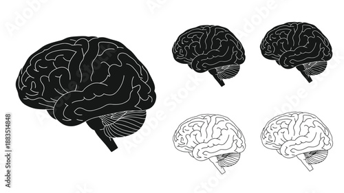 a collection of detailed brain illustrations in various monochrome styles