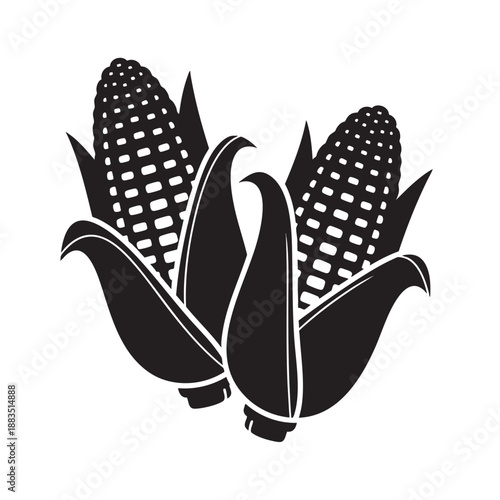 Three fresh corn cobs with husks and kernels isolated on transparent background