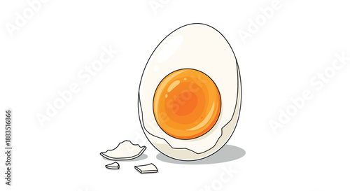 Illustration of a peeled hard-boiled egg cut in half, revealing a bright orange yolk, with shell fragments nearby.