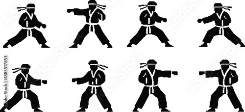 a sequence of martial arts poses demonstrating a karate or kung fu form
